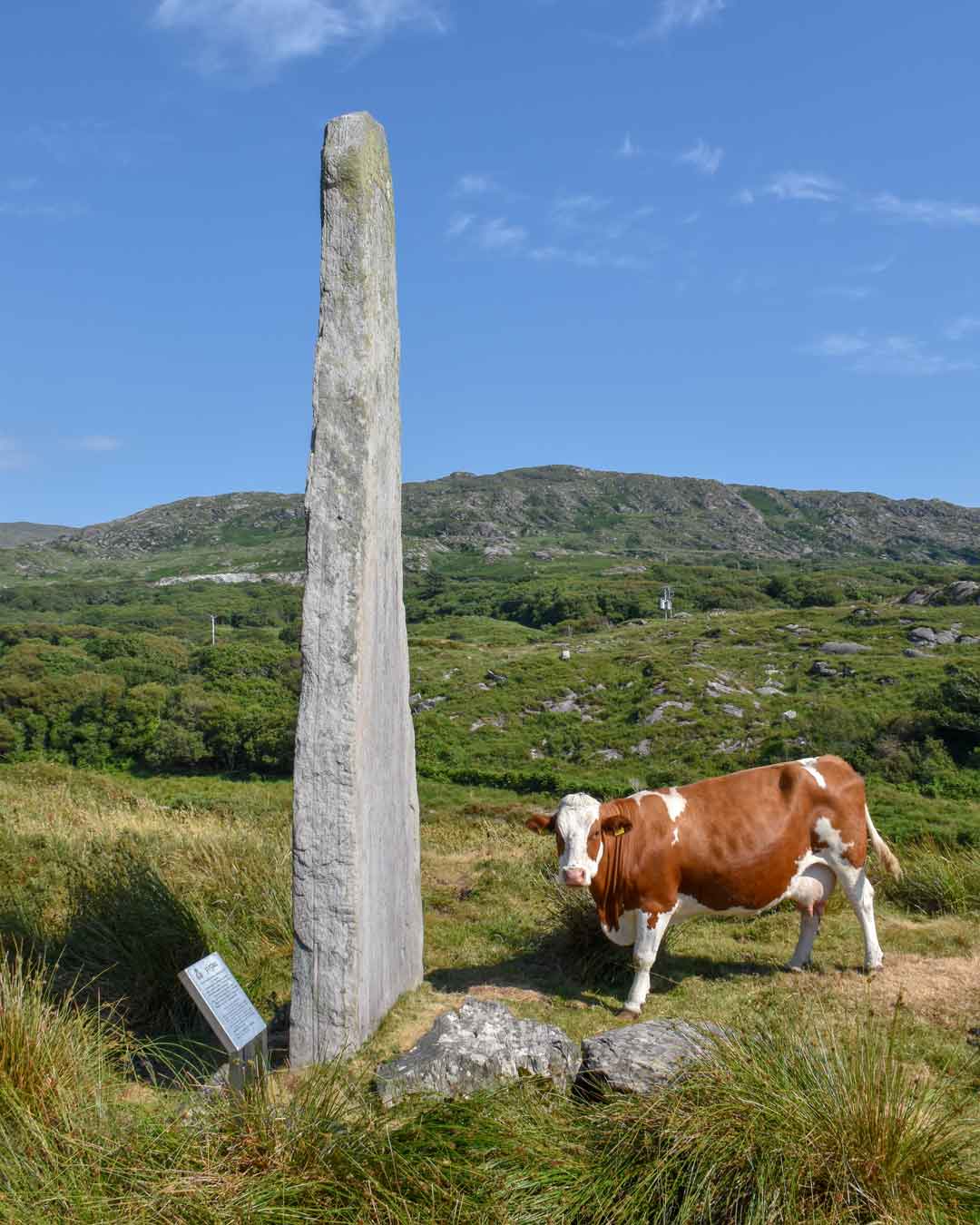 P Ballycrovane Ogham Stone Monumental Ireland