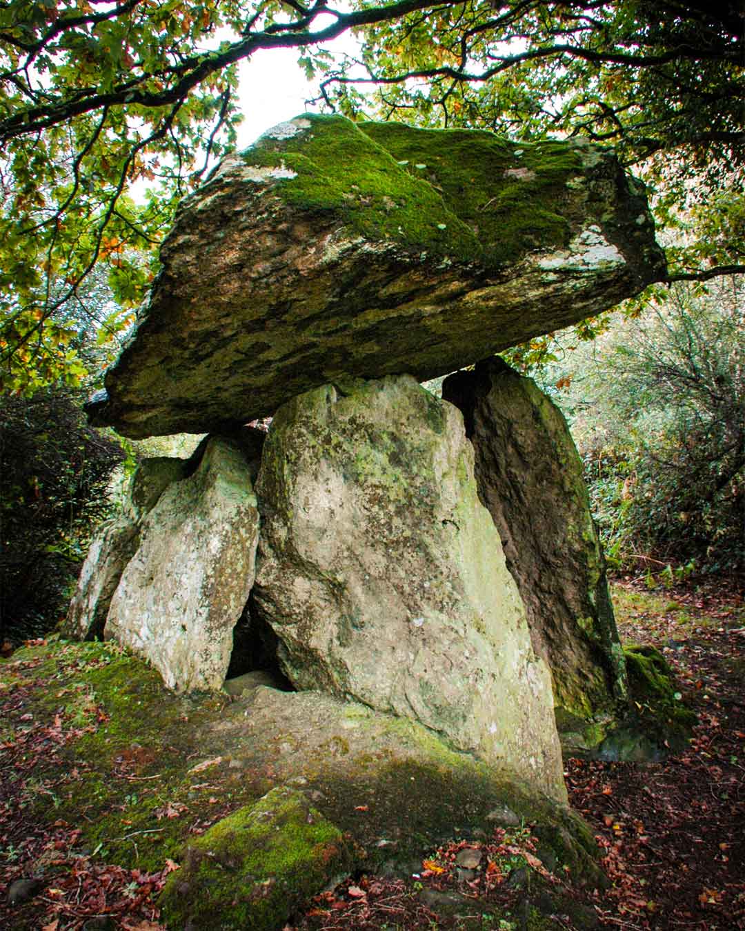 P Gaulstown Dolmen Portal Tomb Monumental Ireland