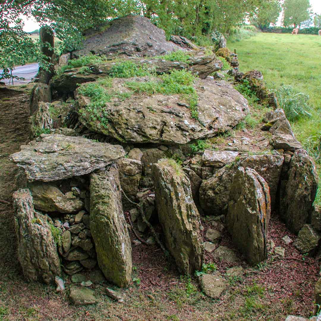 Ballymacdermot Court Tomb