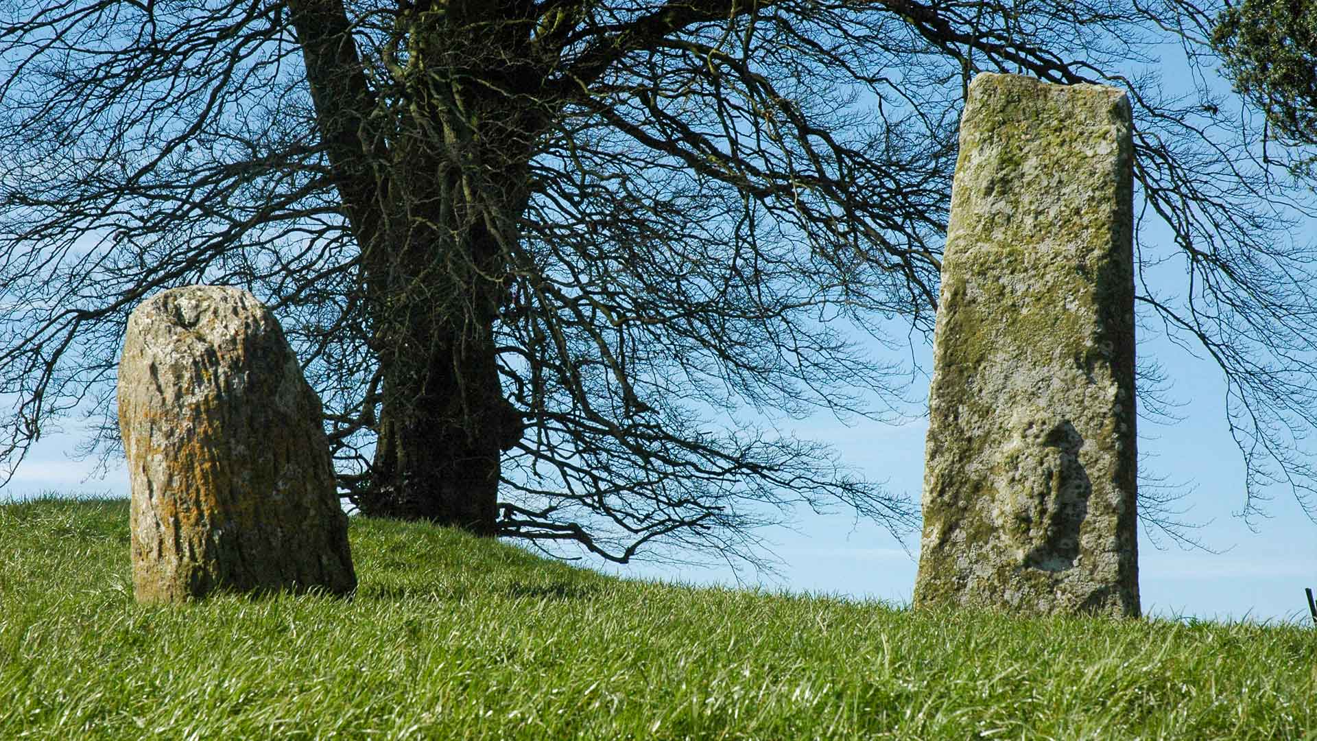 W Blocc Bluigne Stone Pair Monumental Ireland