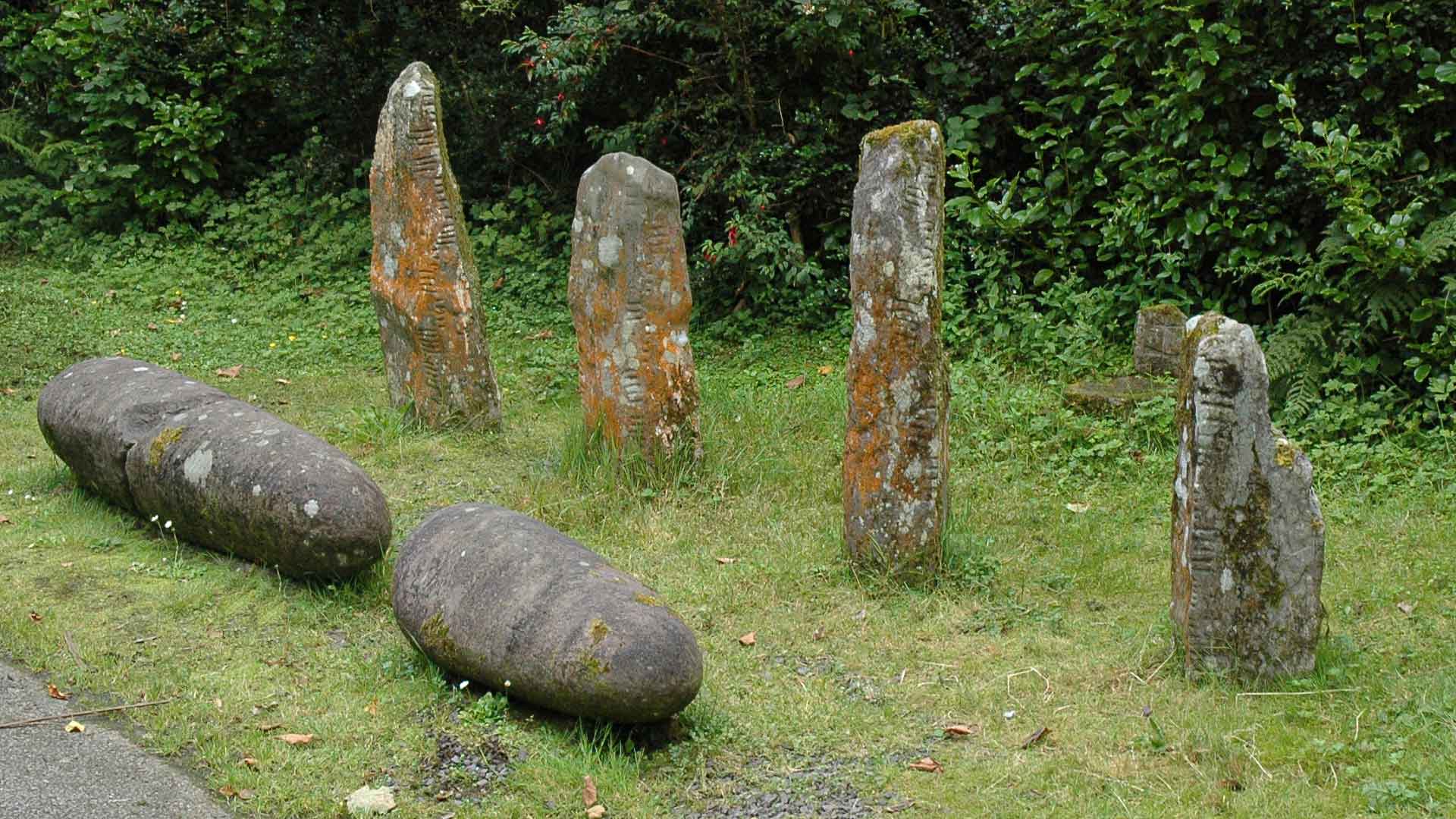 W Colaiste Ida Ogham Stones Monumental Ireland