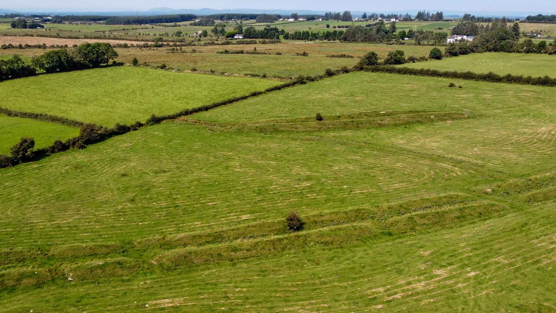 W Mucklaghs Linear Earthwork 1 Monumental Ireland