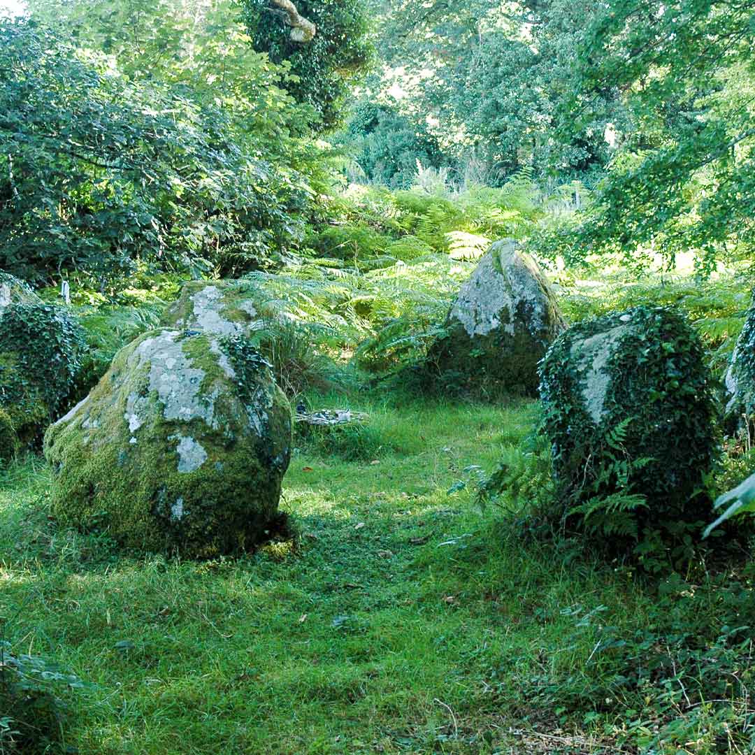 Sq Lissyvigeen Stone Circle Monumental Ireland
