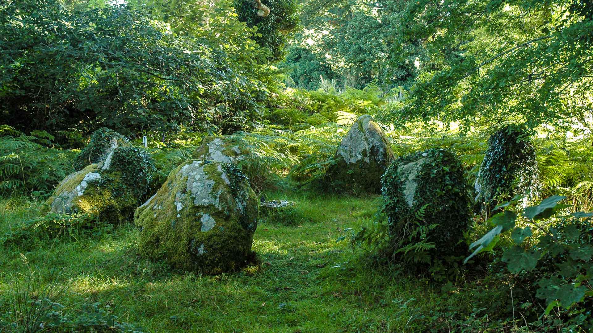 W Lissyvigeen Stone Circle Monumental Ireland
