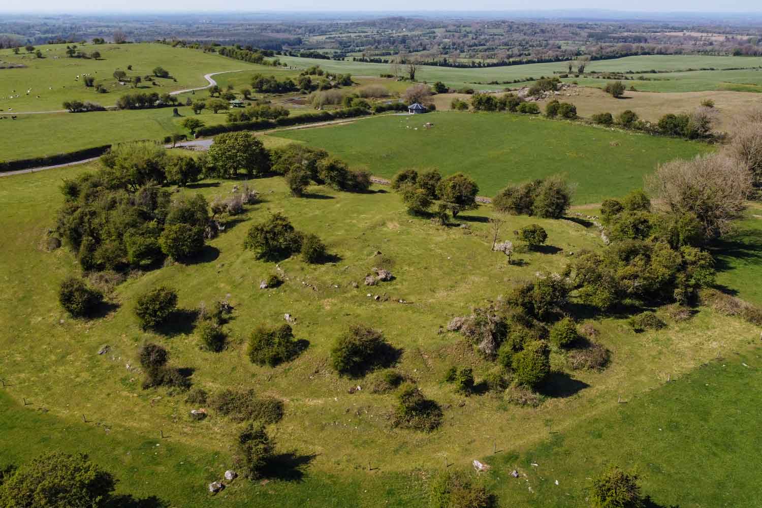 Rathnew Ringfort (The Palace)