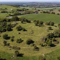 Rathnew Ringfort (The Palace)